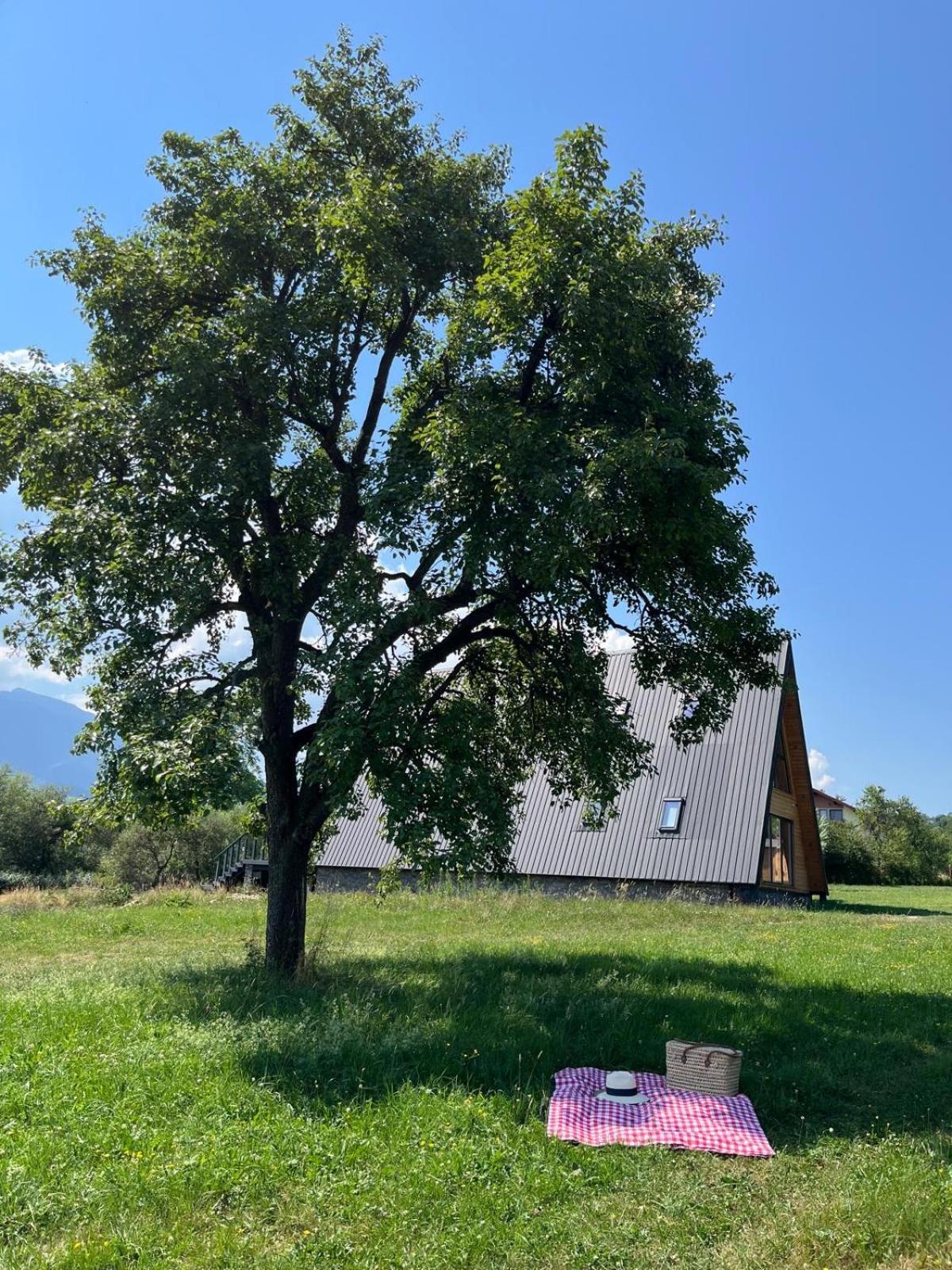 Vino Chalets Bran Sohodol  Екстериор снимка