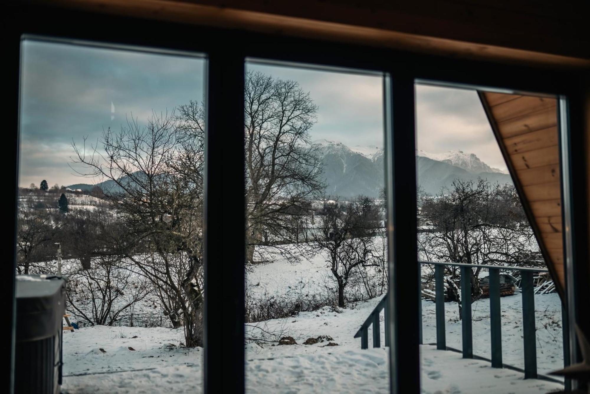 Vino Chalets Bran Sohodol  Екстериор снимка